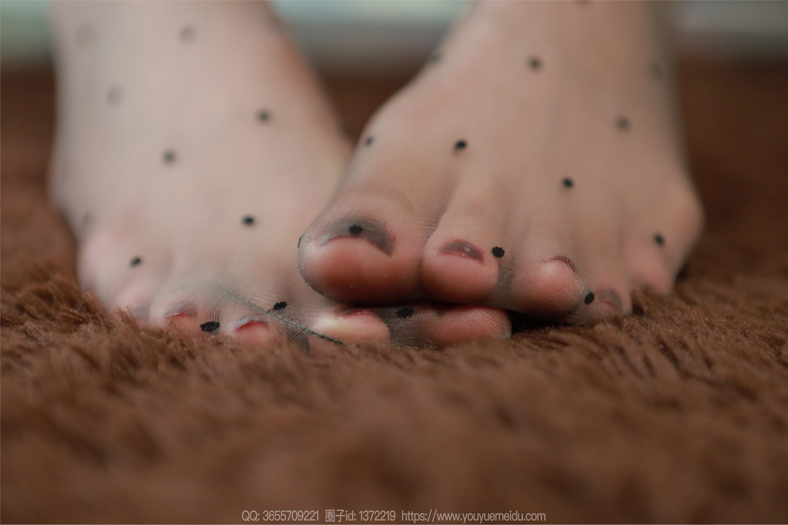 IESS异思趣向  2025.12.01 丝享家2225：小婕《波点丝袜（上）》